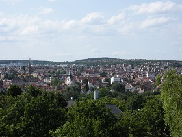 Blick über Stuttgart Zuffenhausen. Im Vordergrund sind Bäume.