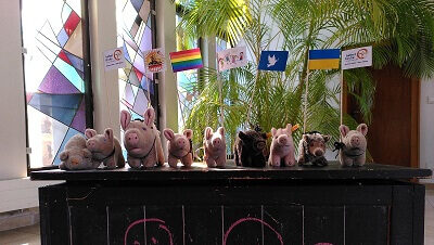 Eine Reihe von Kuscheltier-Schweinen steht auf einer schwarzen Kiste. Diese Schweine tragen Fahnen, darunter die Regenbogenfahne und die Ukraine-Flagge.